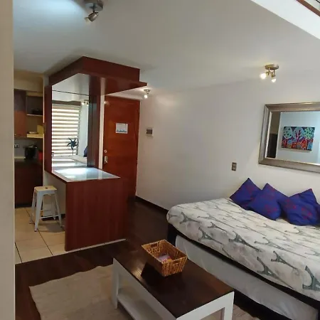 Loft En El Corazon De Bellas Artes